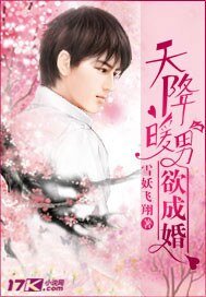 《天降暖男欲成婚》