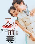 《首席的天价前妻》