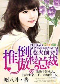 《惹火前妻,推倒傲慢总裁》