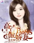 豪门盛宠:高冷BOSS傲娇妻