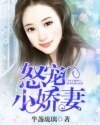 《怒宠小娇妻》