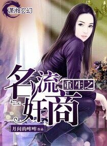 《重生之名流奸商》