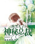 《腹黑儿子神秘总裁》