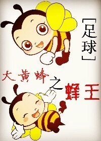 《 (BL/足球同人)大黄蜂之蜂王》
