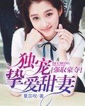 《强取豪夺:独宠挚爱甜妻》