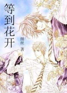 《等到花开》