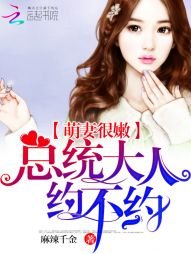 《萌妻很嫩:总统大人,约不约》