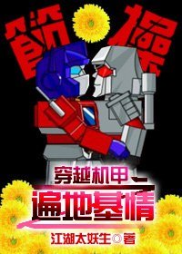 《穿越机甲之遍地基情/当装逼犯遇到装逼犯》