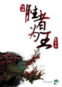 （BL/红楼同人）胜者为王