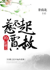 《(BL/红楼同人)红楼之惹不起的贾赦》